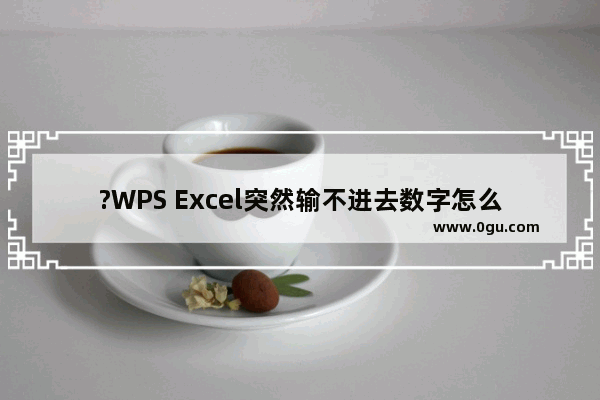 ?WPS Excel突然输不进去数字怎么办 WPS表格解决输入不了数字还跳格的方法教程