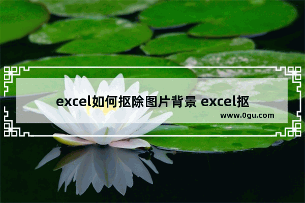 excel如何抠除图片背景 excel抠图的方法