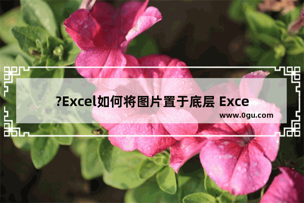 ?Excel如何将图片置于底层 Excel表格中把图片置于底层的方法教程