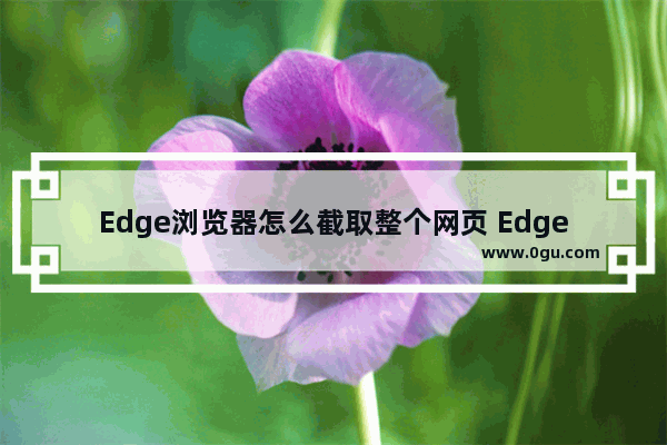 Edge浏览器怎么截取整个网页 Edge浏览器截取整个网页的方法