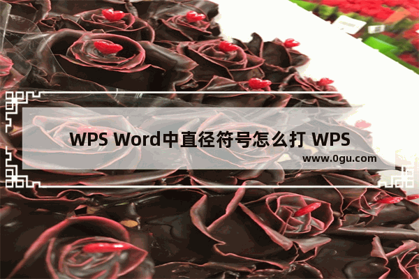 WPS Word中直径符号怎么打 WPS Word中添加直径符号的方法