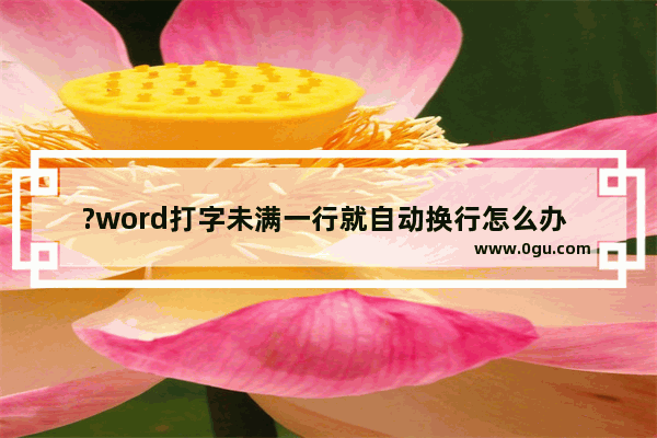 ?word打字未满一行就自动换行怎么办 word输入文字自动跳到下一行的解决方法