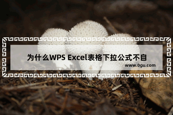 为什么WPS Excel表格下拉公式不自动计算 WPS Excel表格下拉公式不自动计算的解决方法