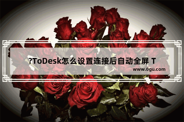 ?ToDesk怎么设置连接后自动全屏 ToDesk设置远程控制时自动进入全屏模式的方法教程