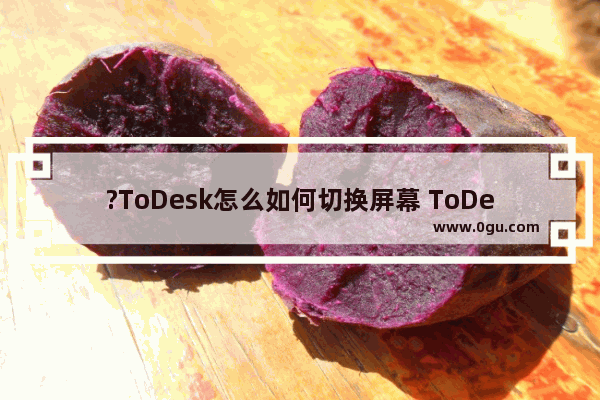 ?ToDesk怎么如何切换屏幕 ToDesk中切换屏幕的方法教程