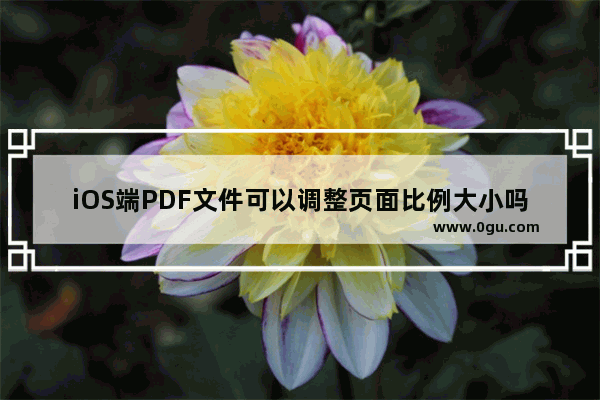 iOS端PDF文件可以调整页面比例大小吗