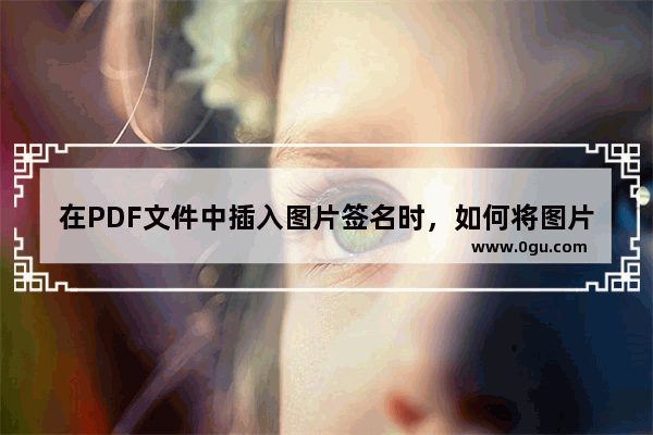 在PDF文件中插入图片签名时，如何将图片修改为黑白？