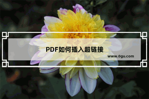 PDF如何插入超链接