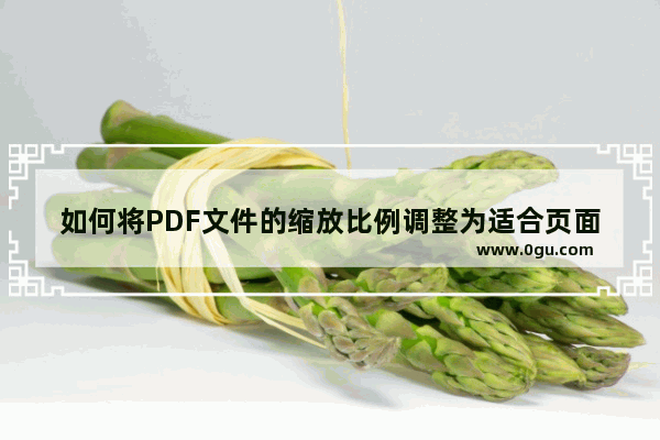 如何将PDF文件的缩放比例调整为适合页面大小？