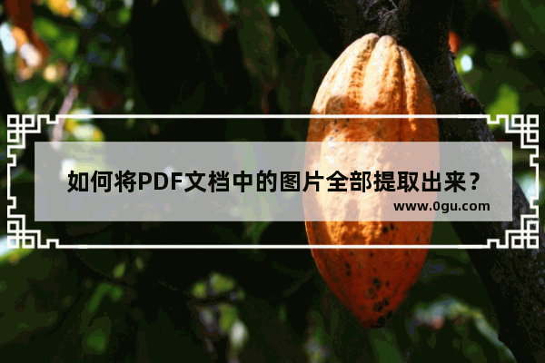 如何将PDF文档中的图片全部提取出来？