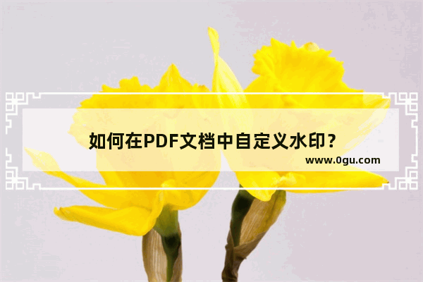 如何在PDF文档中自定义水印？