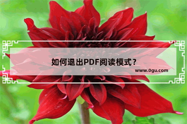 如何退出PDF阅读模式？