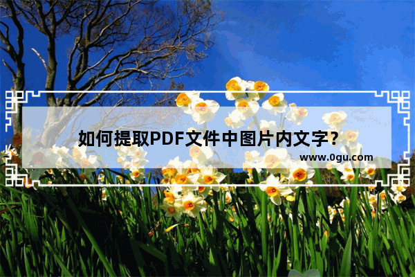 如何提取PDF文件中图片内文字？