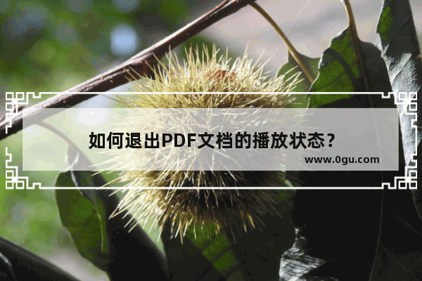 如何退出PDF文档的播放状态？