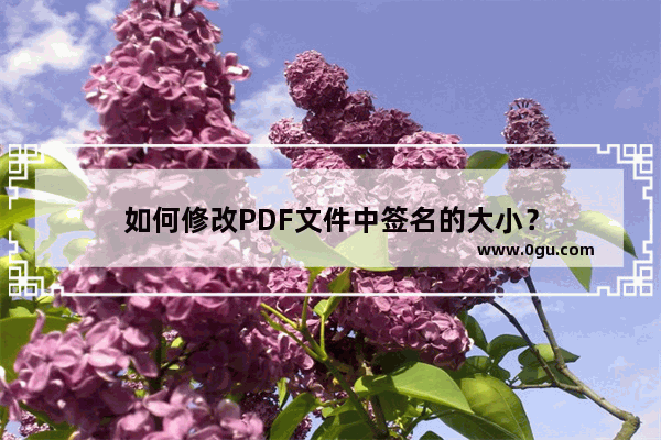 如何修改PDF文件中签名的大小？