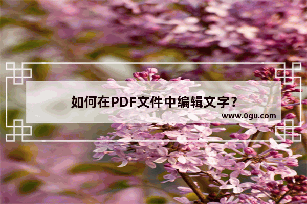 如何在PDF文件中编辑文字？