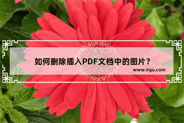 如何删除插入PDF文档中的图片？