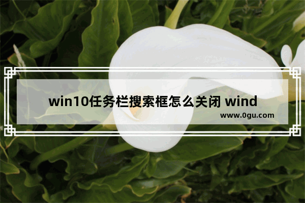 win10任务栏搜索框怎么关闭 windows10隐藏任务栏搜索框的方法