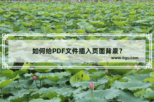 如何给PDF文件插入页面背景？