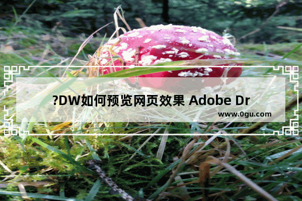 ?DW如何预览网页效果 Adobe Dreamweaver中预览设计的网页效果的方法教程