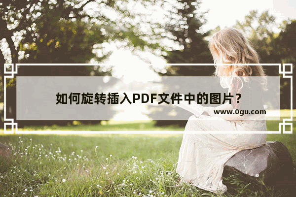 如何旋转插入PDF文件中的图片？