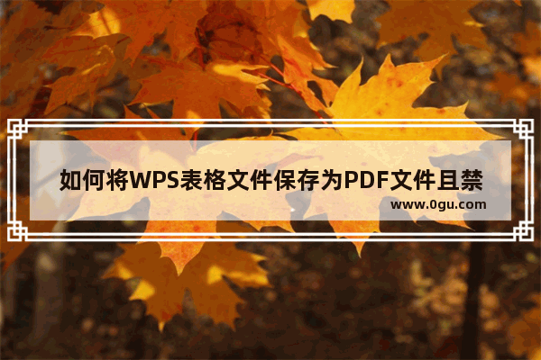 如何将WPS表格文件保存为PDF文件且禁止打印和修改