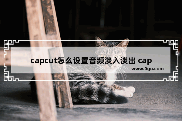 capcut怎么设置音频淡入淡出 capcut国际版设置淡入淡出效果的方法