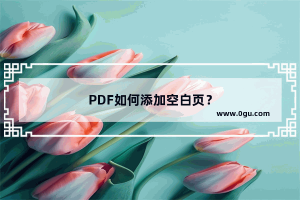 PDF如何添加空白页？