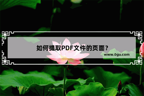 如何提取PDF文件的页面？