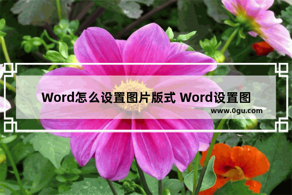 Word怎么设置图片版式 Word设置图片版式的方法