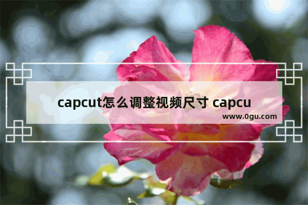 capcut怎么调整视频尺寸 capcut国际版修改视频尺寸大小的方法