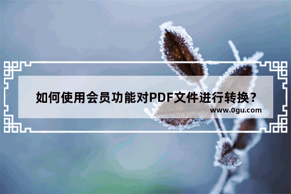 如何使用会员功能对PDF文件进行转换？