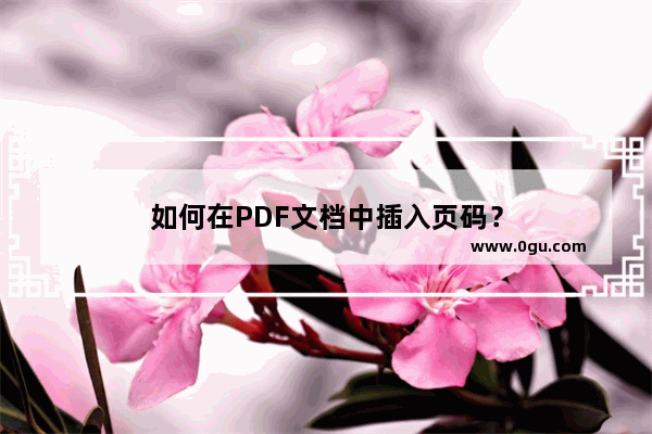 如何在PDF文档中插入页码？