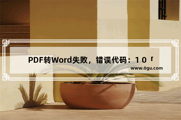 PDF转Word失败，错误代码：1 0「鼠标定位到红色感叹号上」。