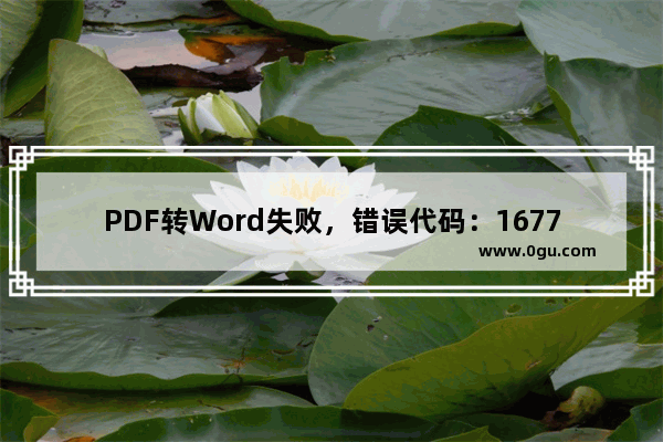 PDF转Word失败，错误代码：16777215「鼠标定位到红色感叹号上」。