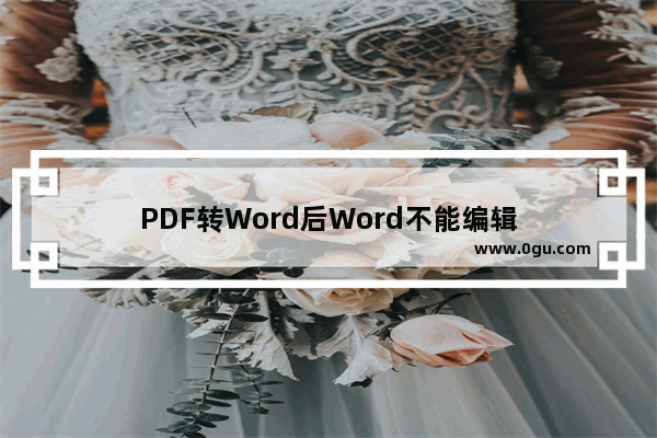 PDF转Word后Word不能编辑