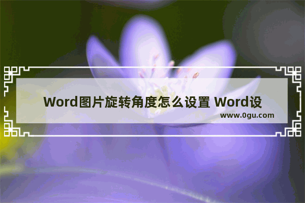 Word图片旋转角度怎么设置 Word设置图片旋转角度的方法