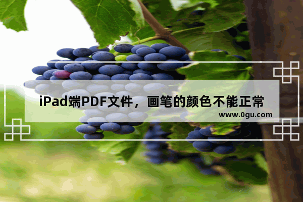 iPad端PDF文件，画笔的颜色不能正常显示，都显示为灰色？