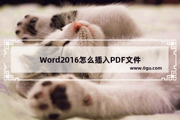 Word2016怎么插入PDF文件