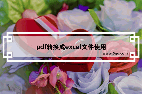 pdf转换成excel文件使用