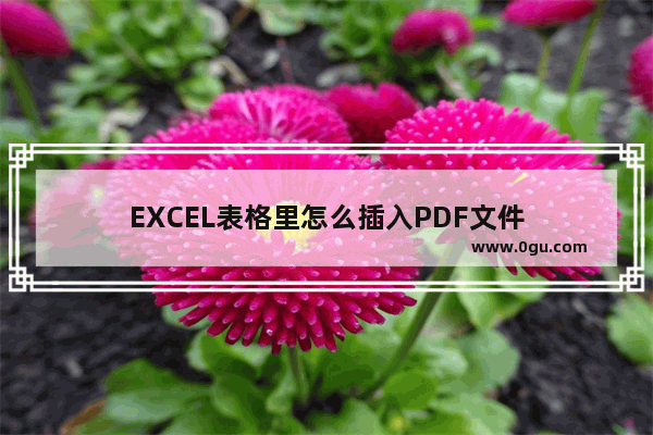 EXCEL表格里怎么插入PDF文件