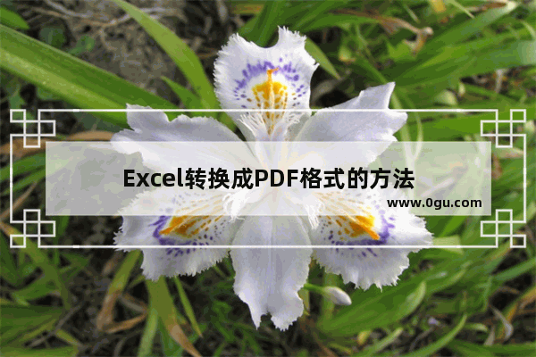 Excel转换成PDF格式的方法