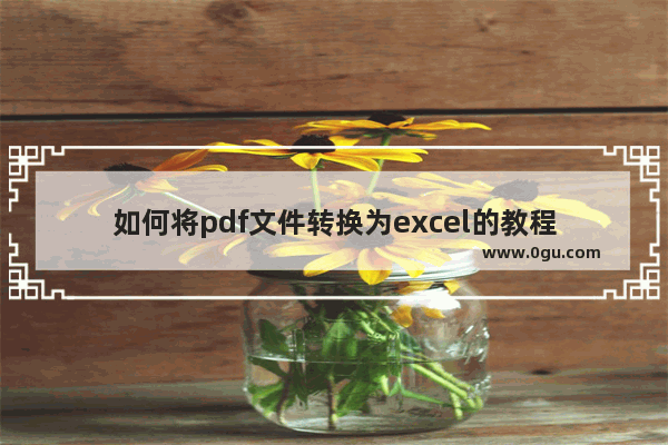 如何将pdf文件转换为excel的教程