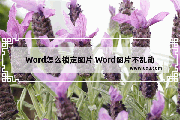 Word怎么锁定图片 Word图片不乱动的设置方法