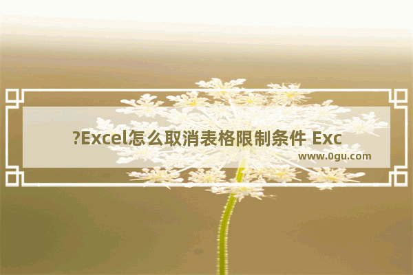 ?Excel怎么取消表格限制条件 Excel表格解除限定输入的方法教程