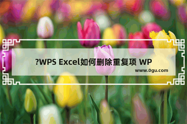 ?WPS Excel如何删除重复项 WPS表格中快速删除重复数据的方法教程