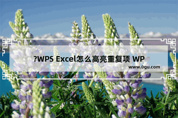 ?WPS Excel怎么高亮重复项 WPS表格中设置突出显示重复数据的方法教程