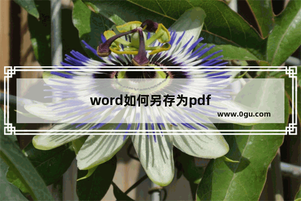 word如何另存为pdf