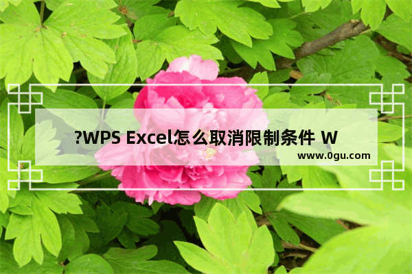 ?WPS Excel怎么取消限制条件 WPS表格解除限制输入内容的方法教程