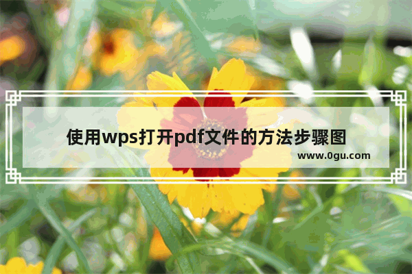 使用wps打开pdf文件的方法步骤图